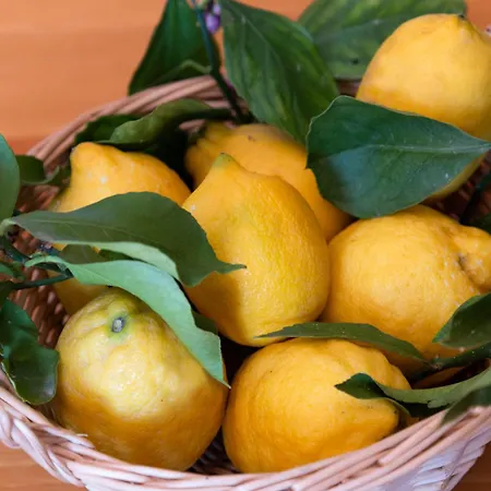 公寓 A I R Luxury House 索伦托